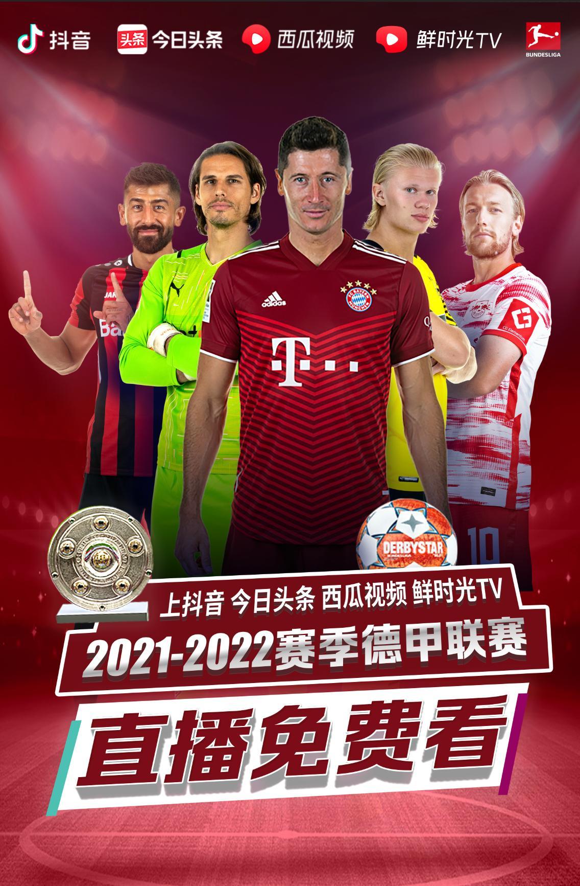 类搜索结果